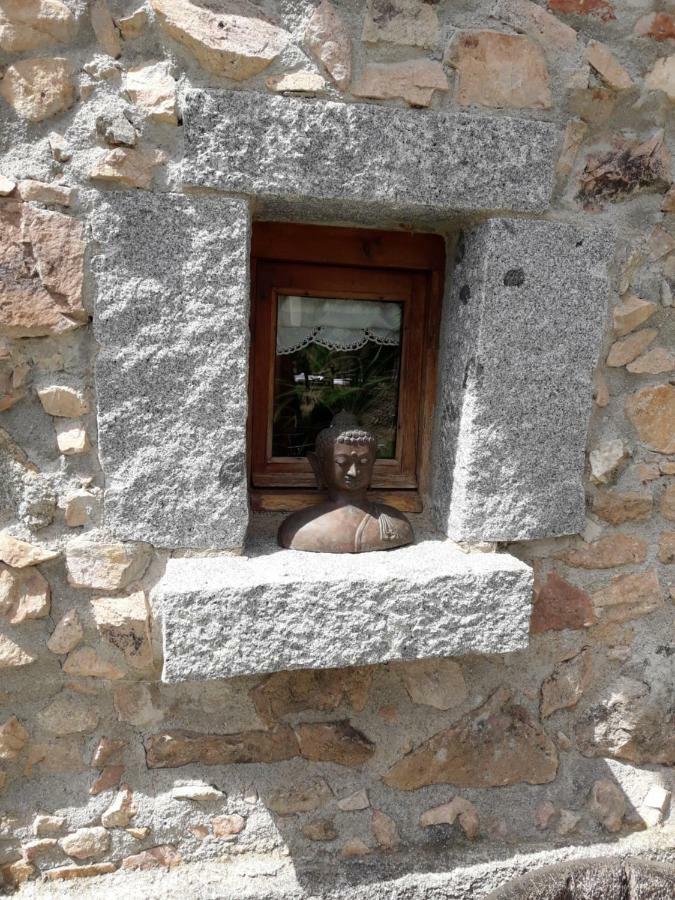 El Solei Paraiso En El Montseny *