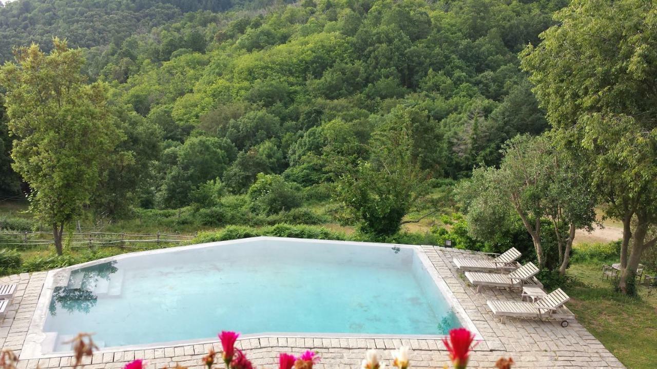El Solei Paraiso En El Montseny Arbúcies
