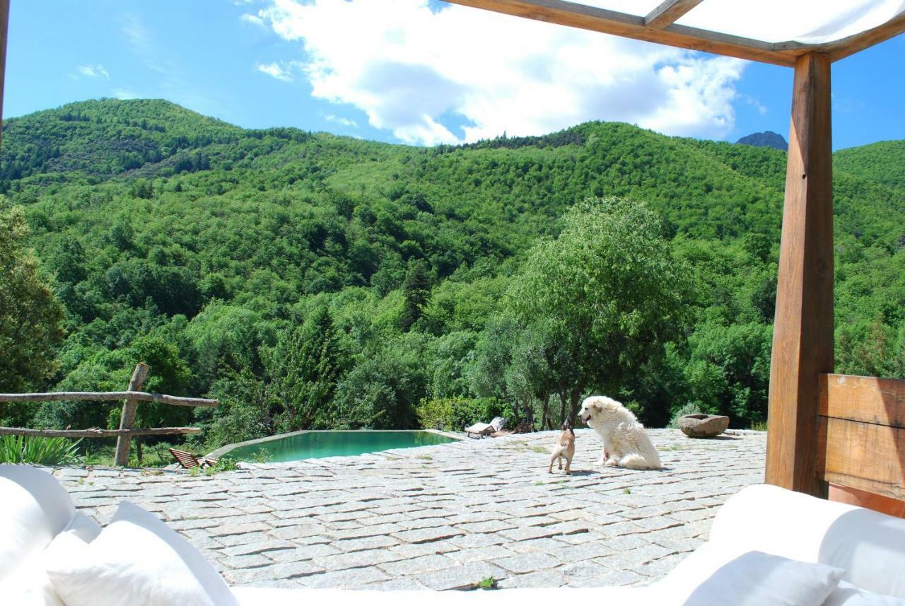 El Solei Paraiso En El Montseny Landhaus Arbúcies